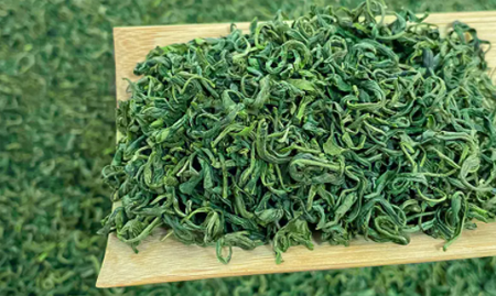 上海凈信組織研磨儀能否解決蘭州大學(xué)醫(yī)科院對茶葉的研磨實(shí)驗(yàn)需求