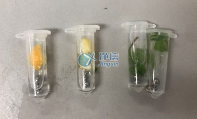 使用組織搗碎勻漿機(jī)對果皮和葉片研磨實(shí)驗(yàn)過程中需要注意那些問題？